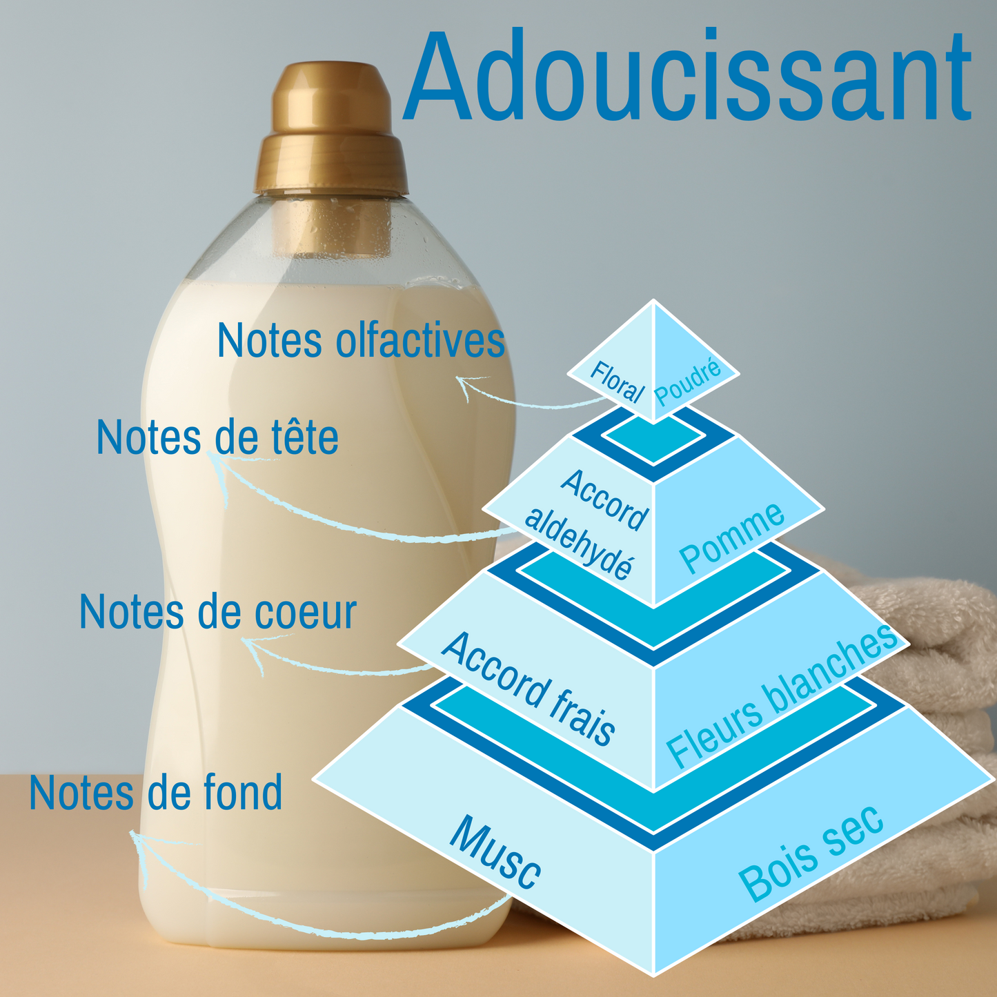 Pyramide olfactive de la bougie parfumée Adoucissant.