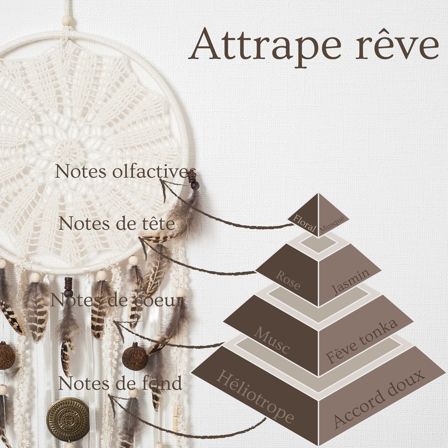 Pyramide olfactive de la bougie parfumée Attrape rêve.
