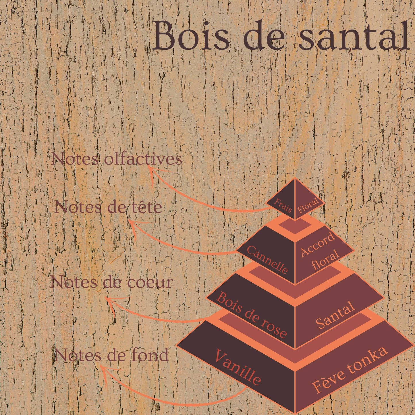 Pyramide olfactive de la bougie parfumée Bois de santal.