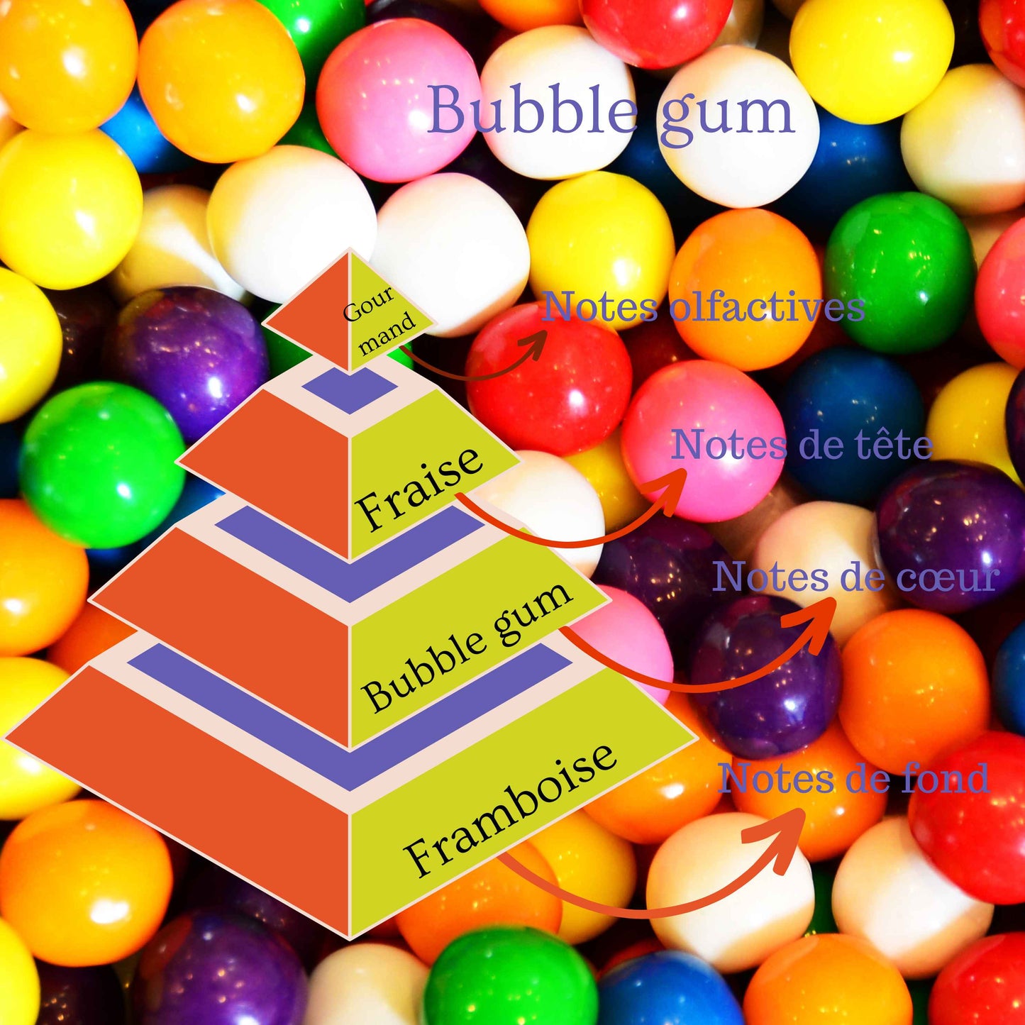 Pyramide olfactive de la bougie parfumée Bubble Gum.