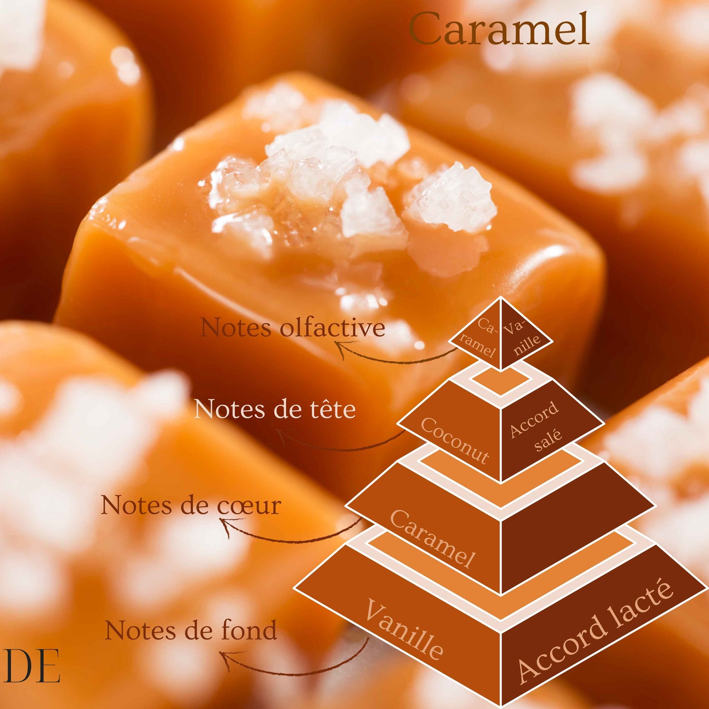 Pyramide olfactive de la bougie parfumée Caramel.