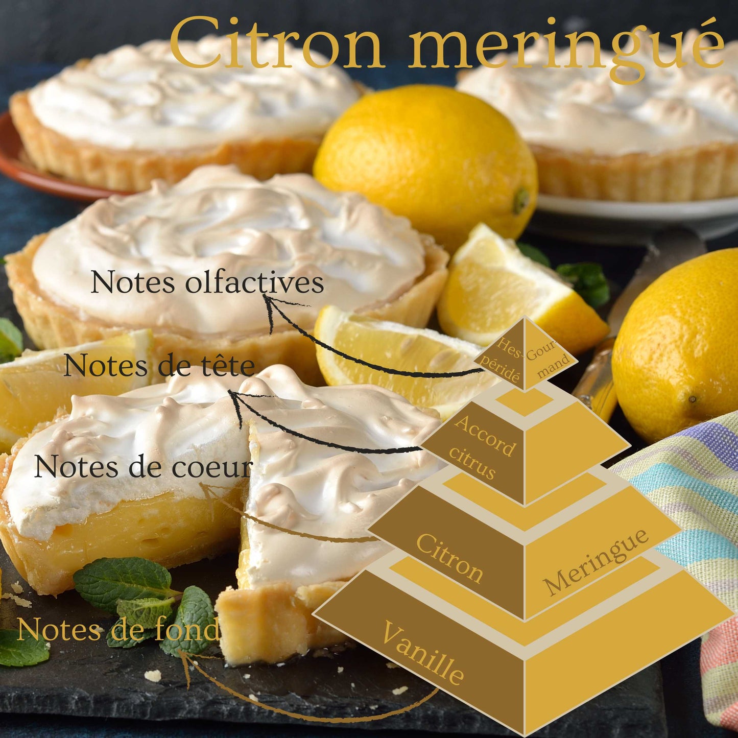 Pyramide olfactive de la bougie parfumée Citron meringué
