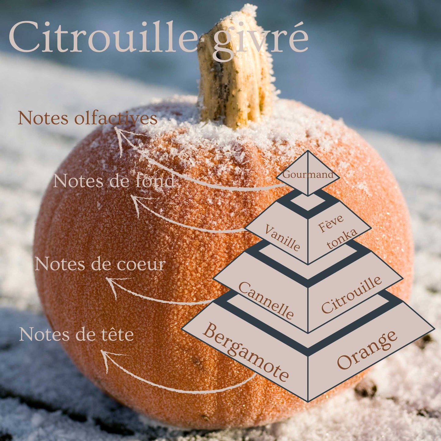 Pyramide olfactive de la bougie parfumée Citrouille givré.