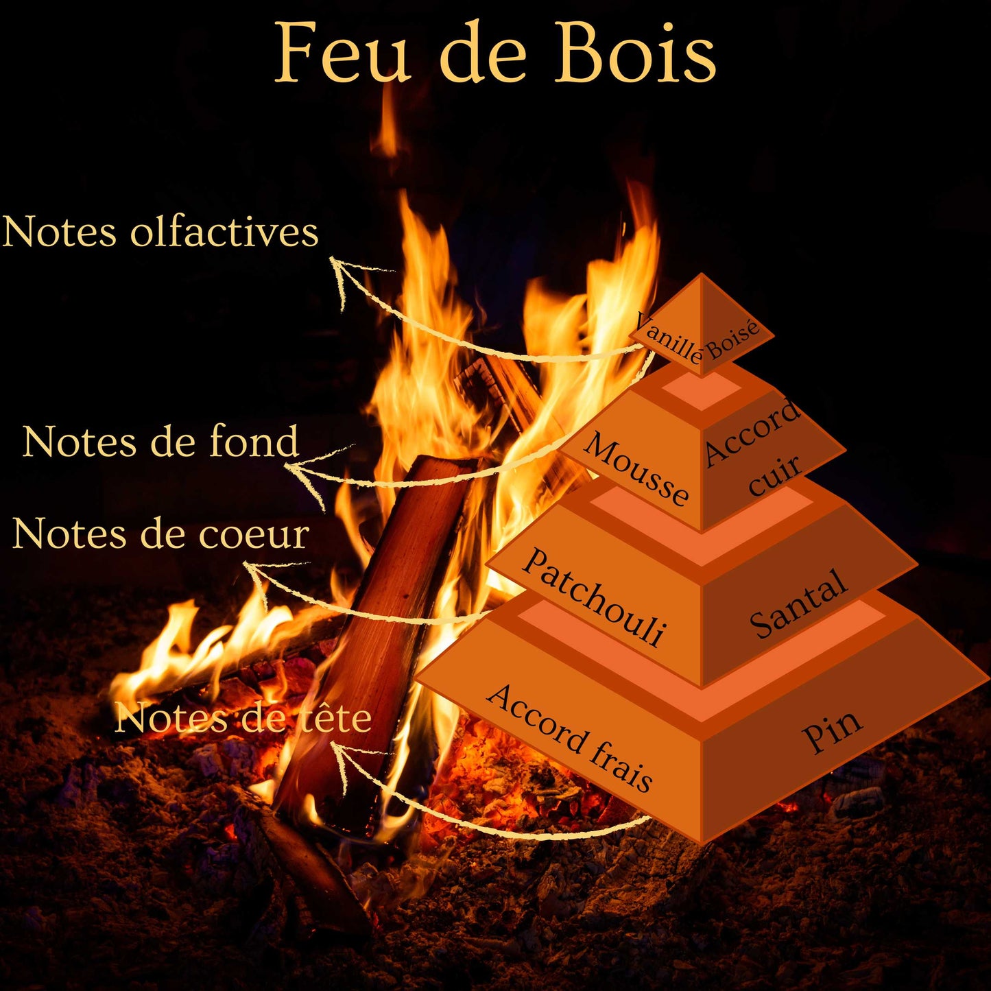Pyramide olfactive de la bougie parfumée Feu de bois.