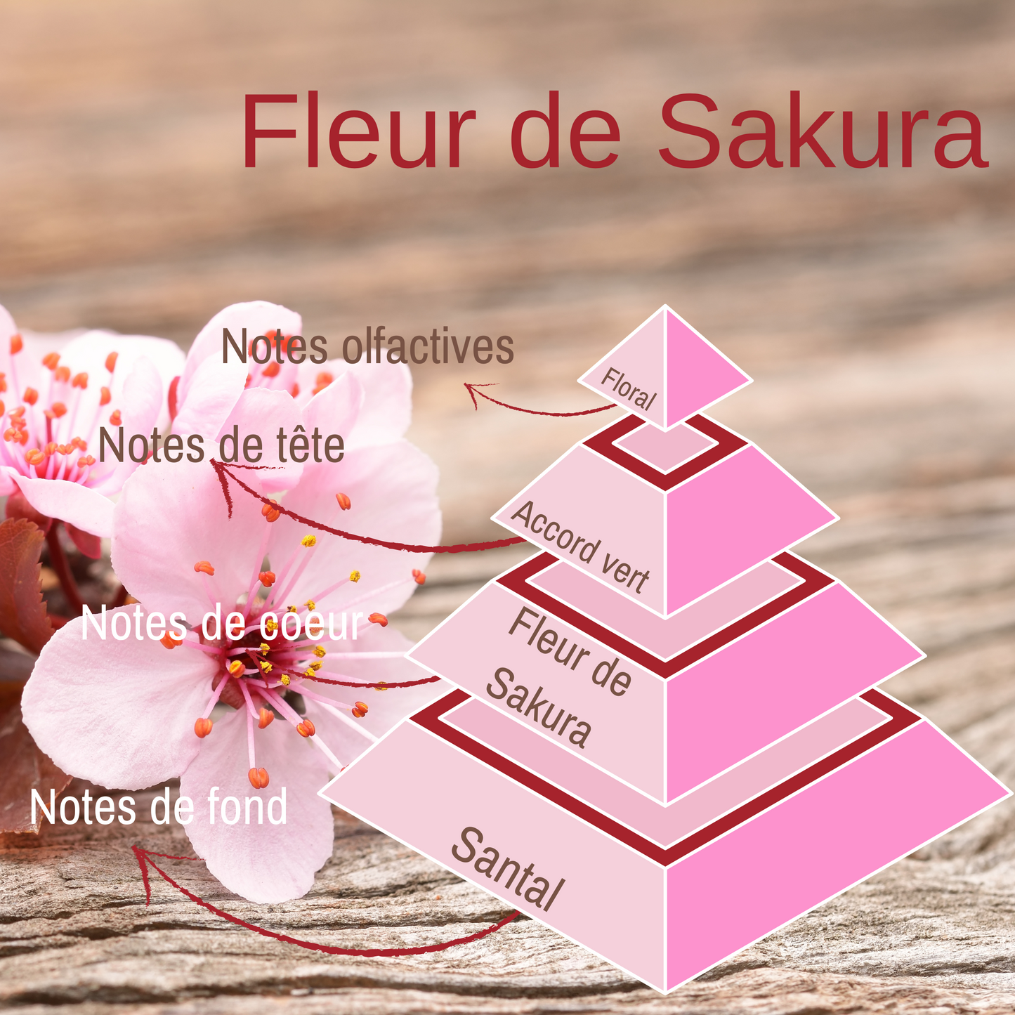 Pyramide olfactive de la bougie parfumée Fleur de Sakura.