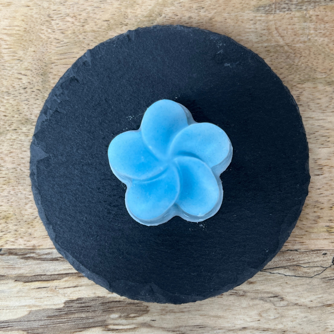 Fondant moulé brise marine vue de haut.