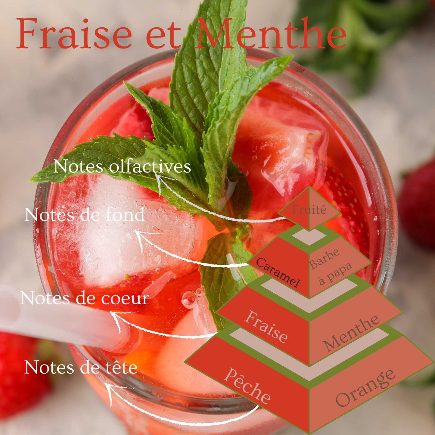 Pyramide olfactive de la bougie parfumée Fraise et menthe.
