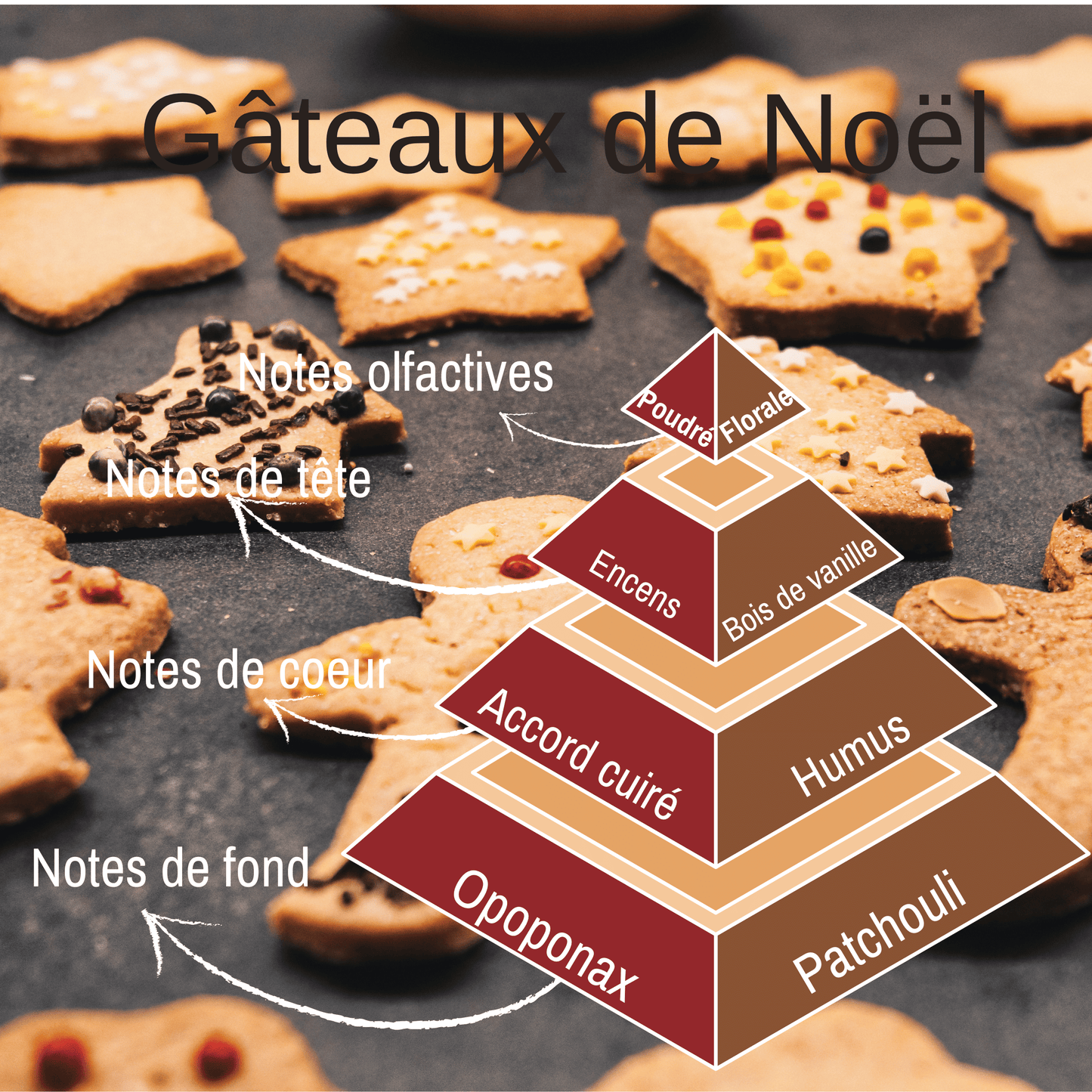 Fondant de Noël - Gâteaux de Noël
