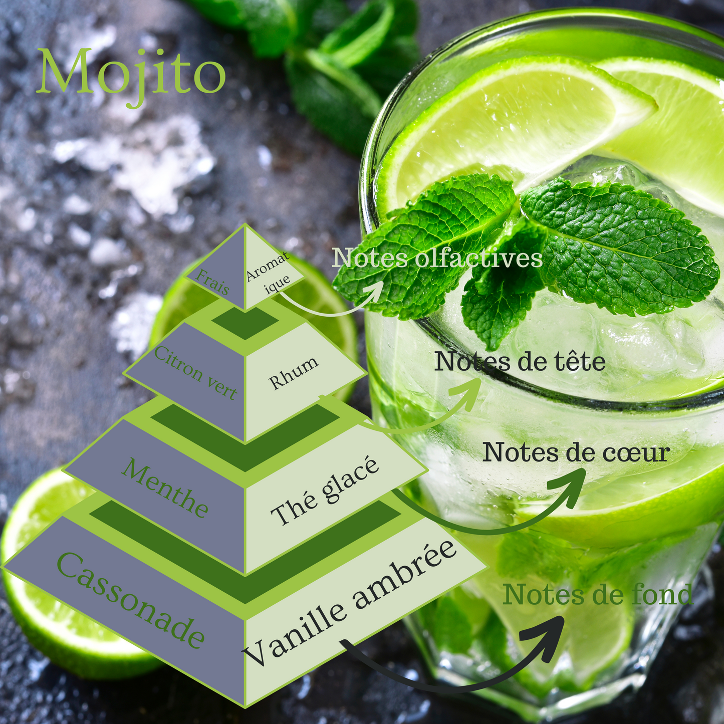 Pyramide olfactive de la bougie parfumée Mojito.