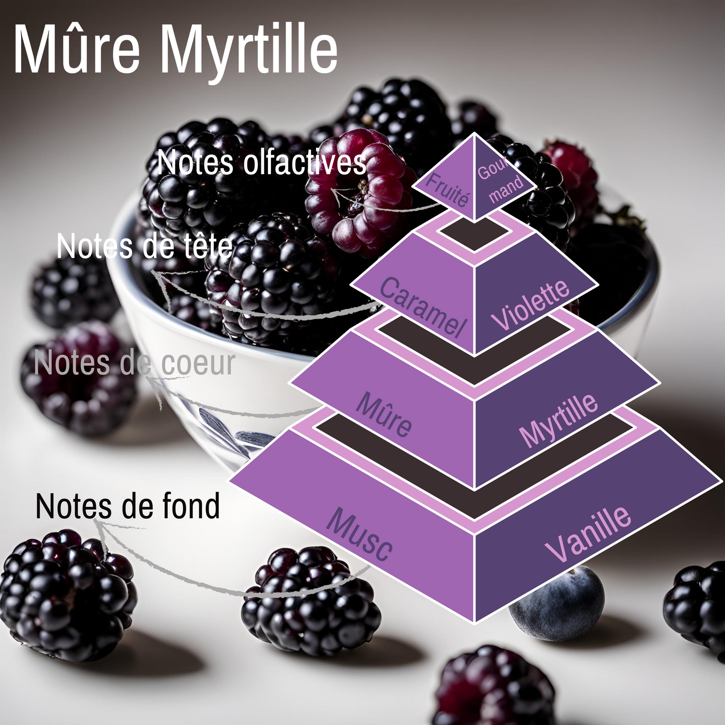 Pyramide olfactive de la bougie parfumée Mûre myrtille.