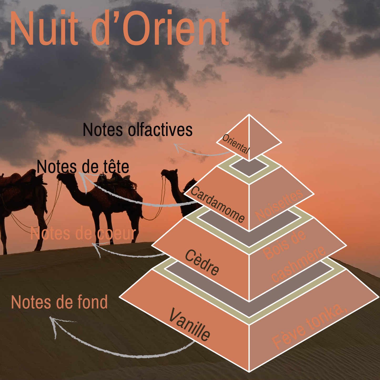 Fondant Clamshell Nuit d'Orient