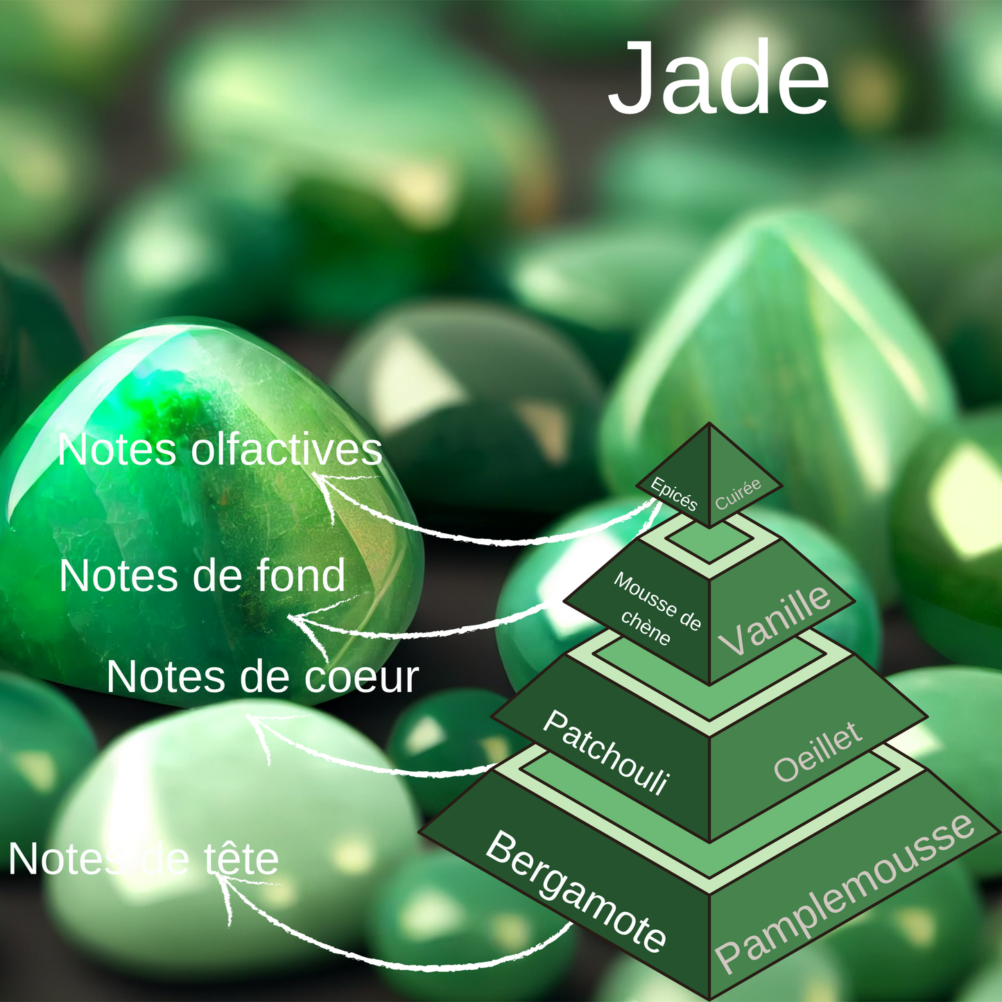 Pyramide olfactive fondant jade.