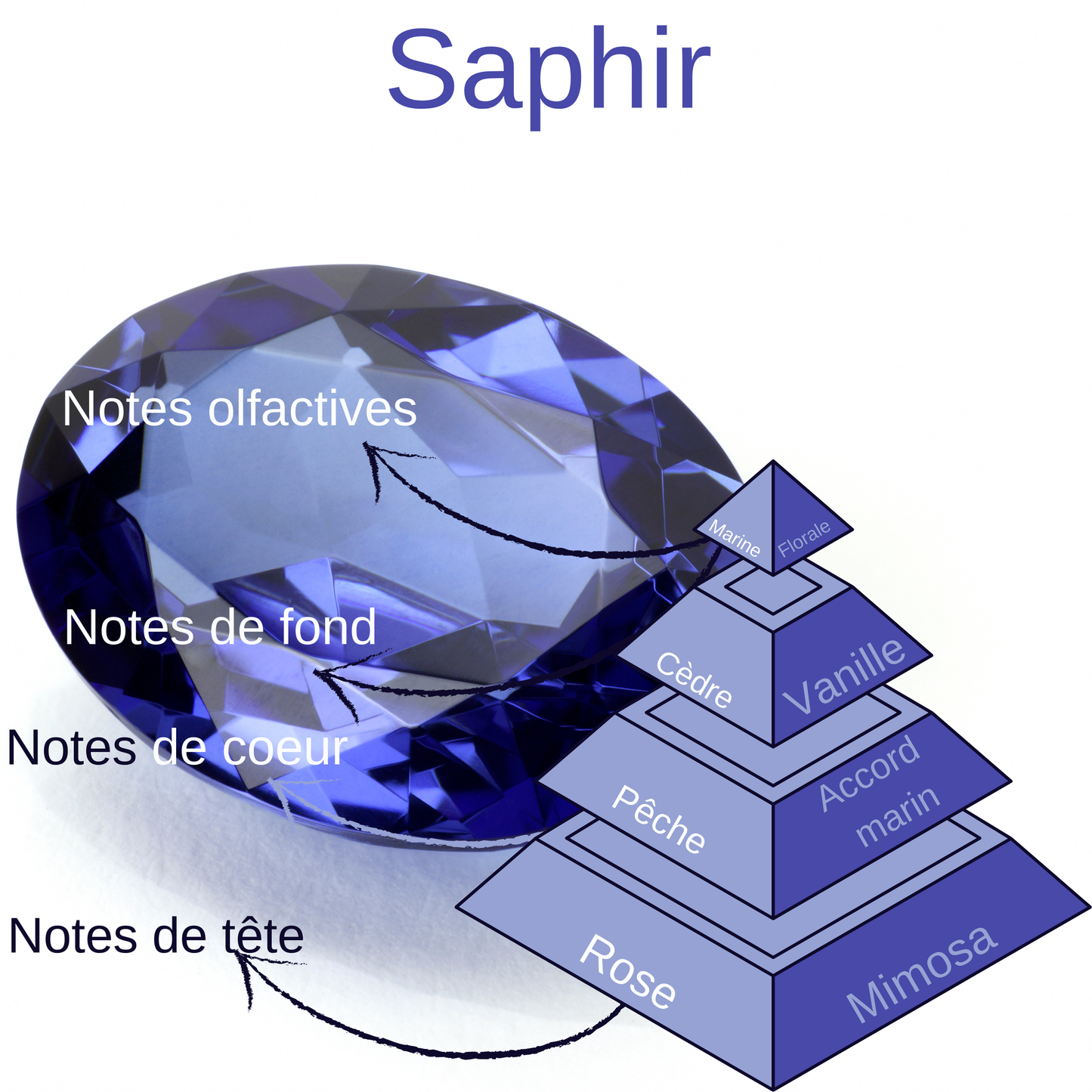 Pyramide olfactive du fondant parfumé Saphir.