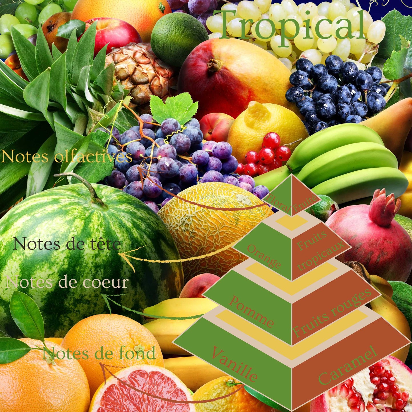 Bougie 330gr - Tropical