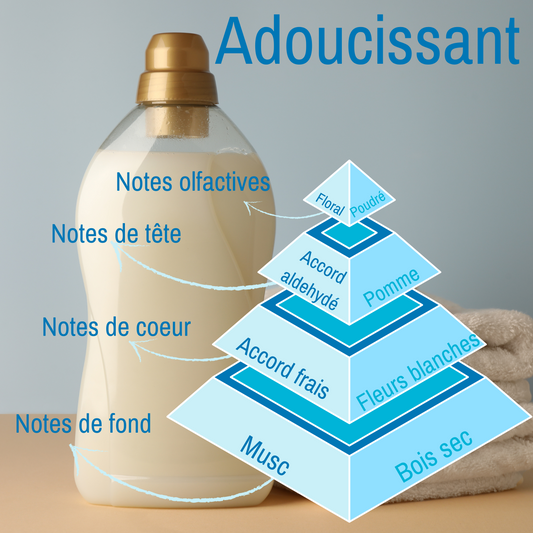 Pyramide olfactive du fondant parfumé Adoucissant. 