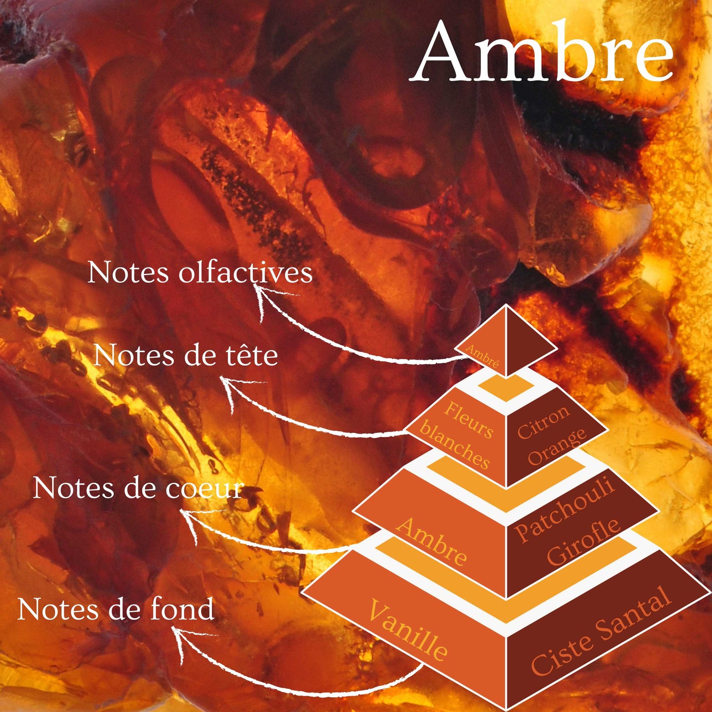 Bougie Ambre