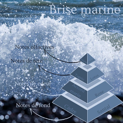 Bougie Brise Marine