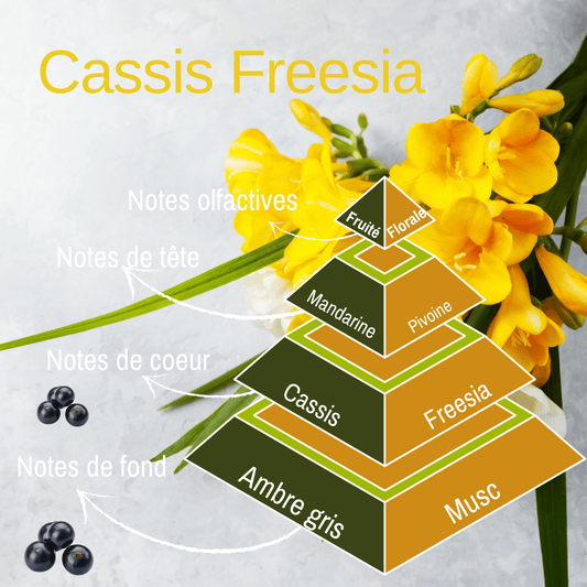Bougie 330gr - Cassis Freesia