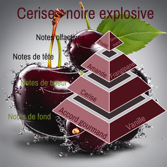 Pyramide olfactive du fondant parfumé Cerise Noire Explosive. 