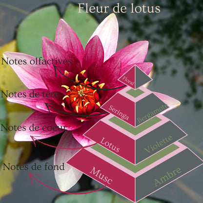 Bougie Fleur de Lotus