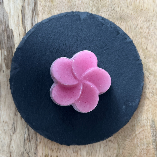 Photo du fondant moulé parfum Cerise Noire Explosive vue de haut