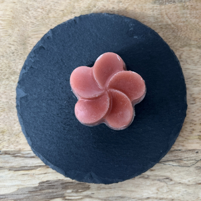Fondant moulé parfum Poudre de Perlimpinpin vue du haut.