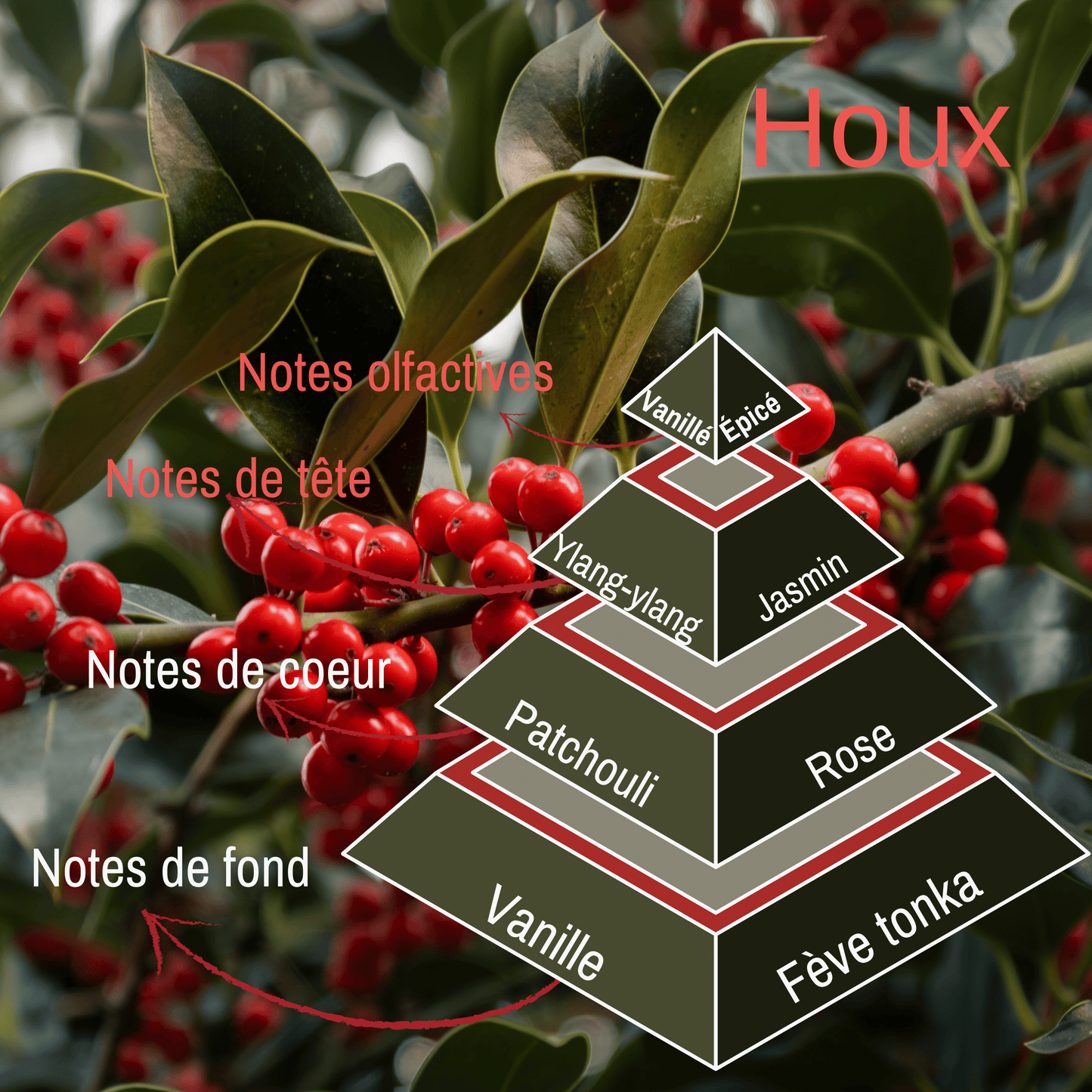 Fondant de Noël - Houx