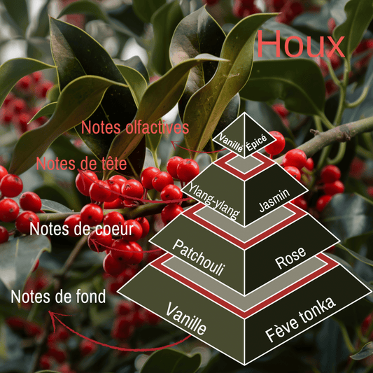 Fondant de Noël - Houx