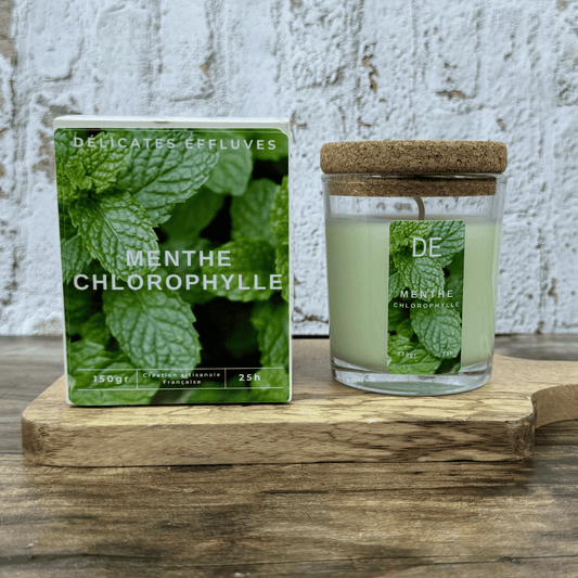 Bougie 25h - Menthe Chlorophylle