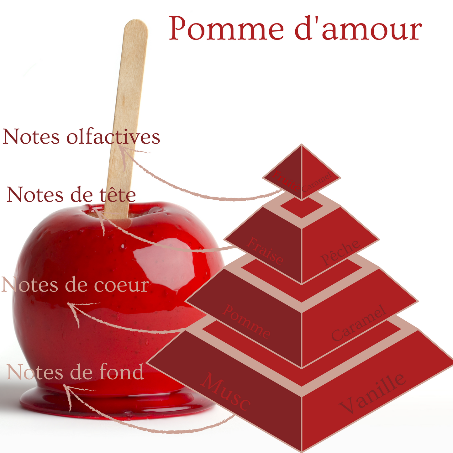 Pyramide olfactive de la bougie parfumée Pomme d'amour.
