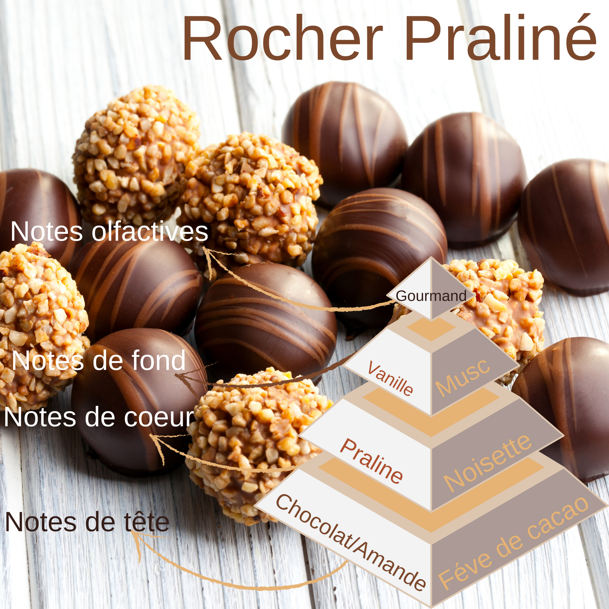 Pyramide olfactive du fondant Clamshell Rocher praliné